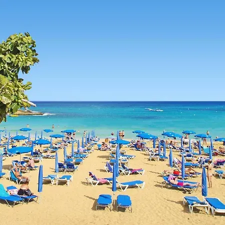 Fig Tree Giannis Protaras