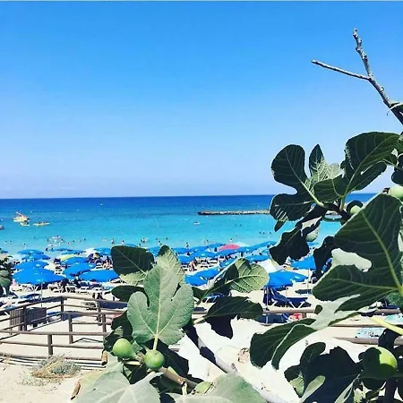 Fig Tree Giannis Apartamento