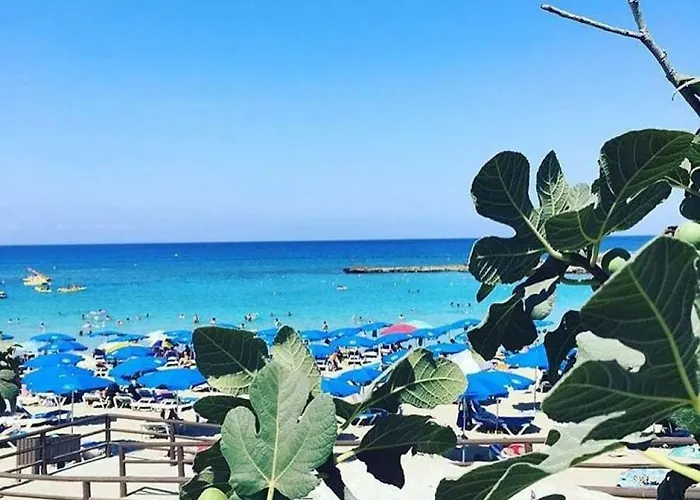 Fig Tree Giannis 아파트