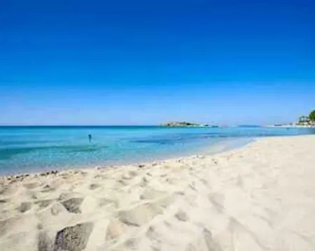 Fig Tree Giannis Πρωταράς